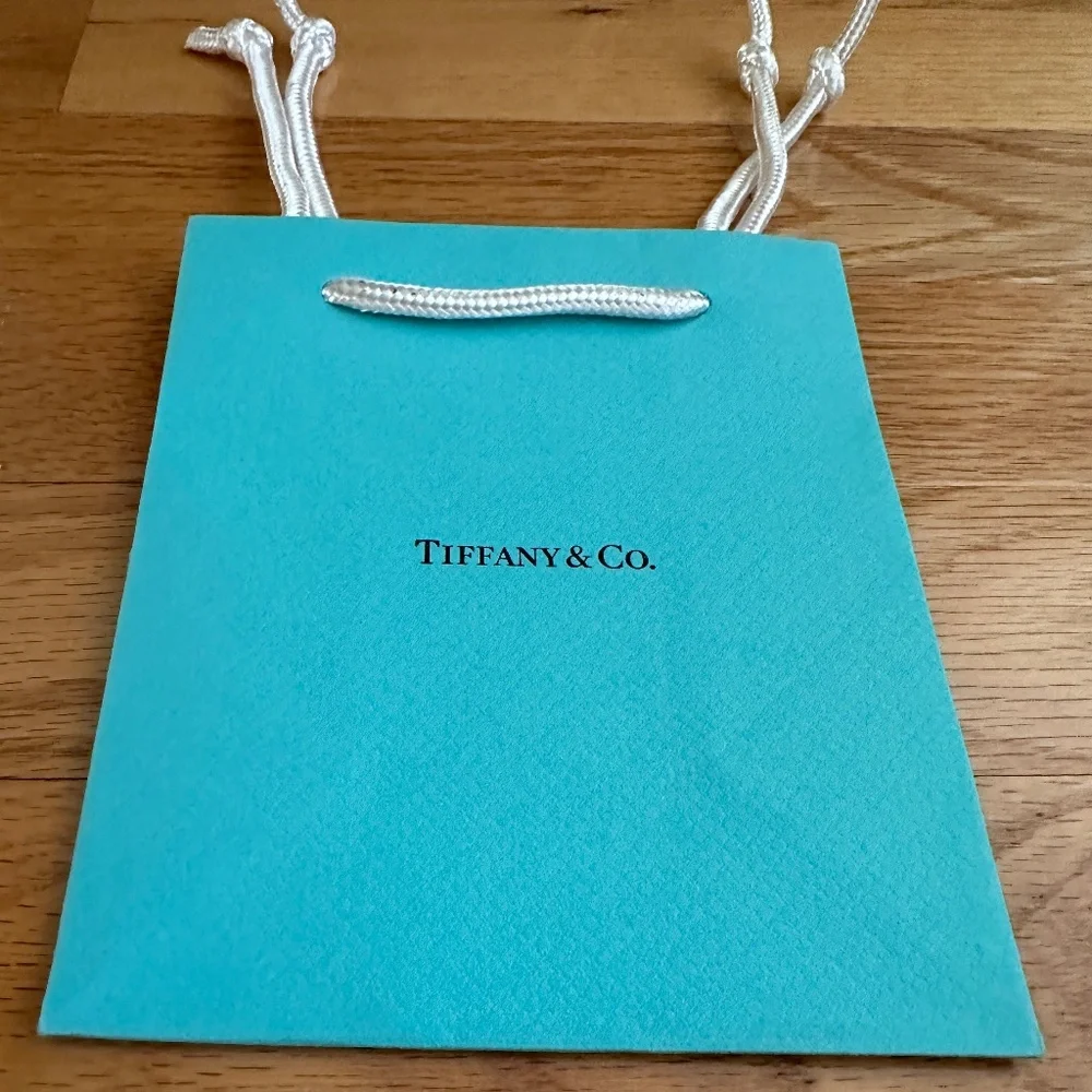 Tiffany & Co Paper Gift Bag Small 6